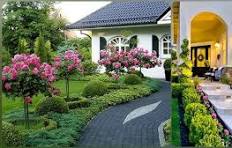 تنسيق حدائق حي مشرفة بجدة