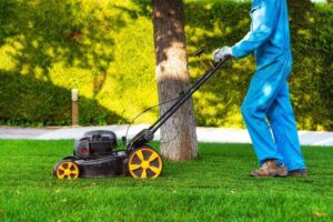 صيانة حدائق