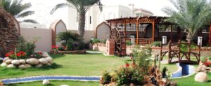 شركات تنسيق حدائق جدة