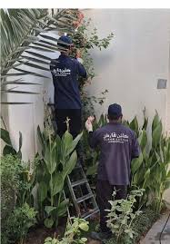 صيانة حدائق بجدة: طرق العناية بنباتاتك طوال العام